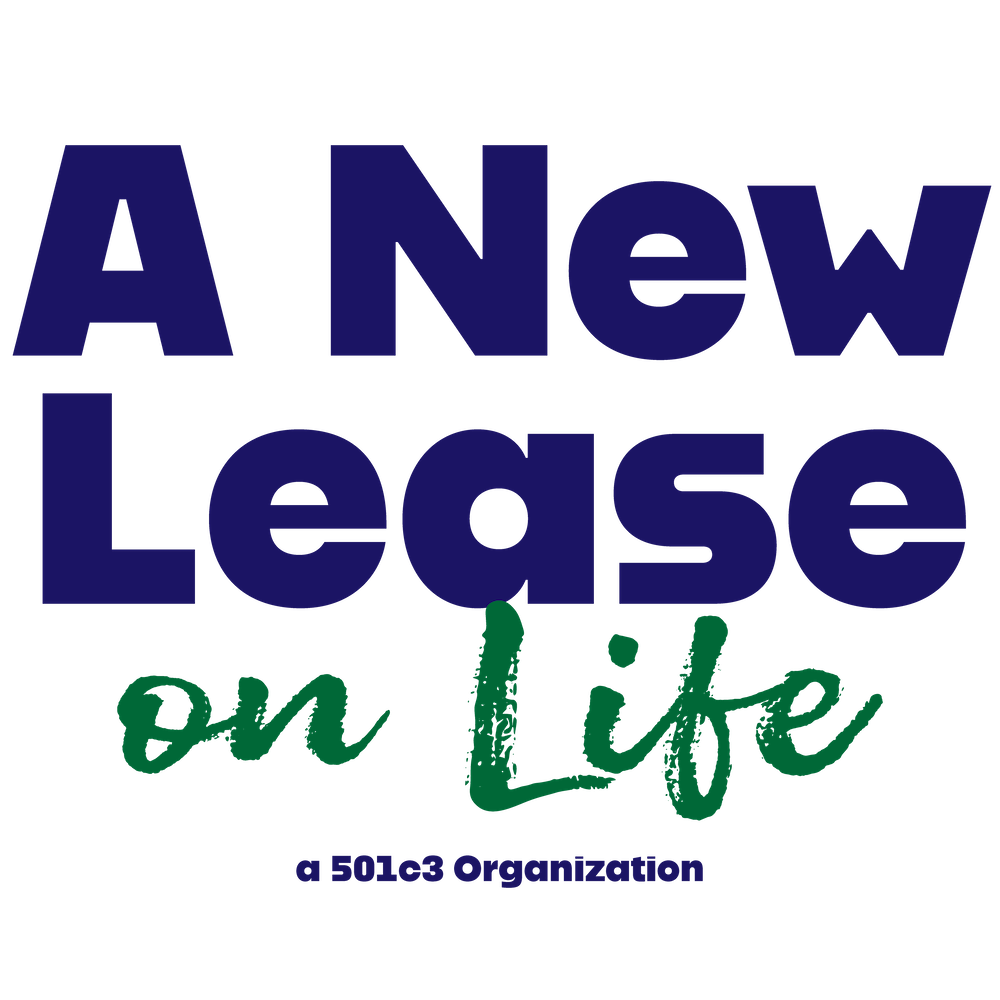 A New Lease Event Cover Image